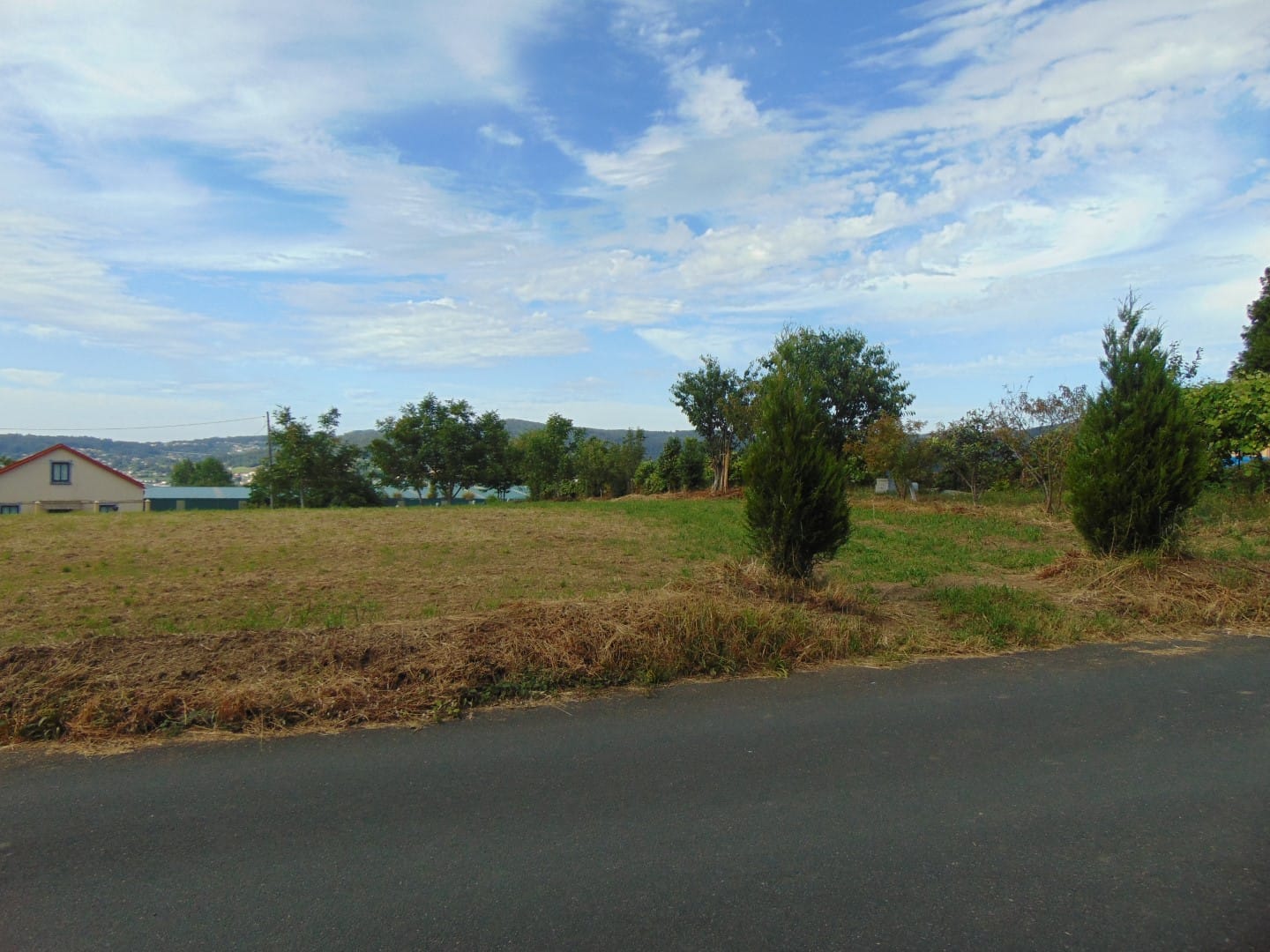 DSC03200-1